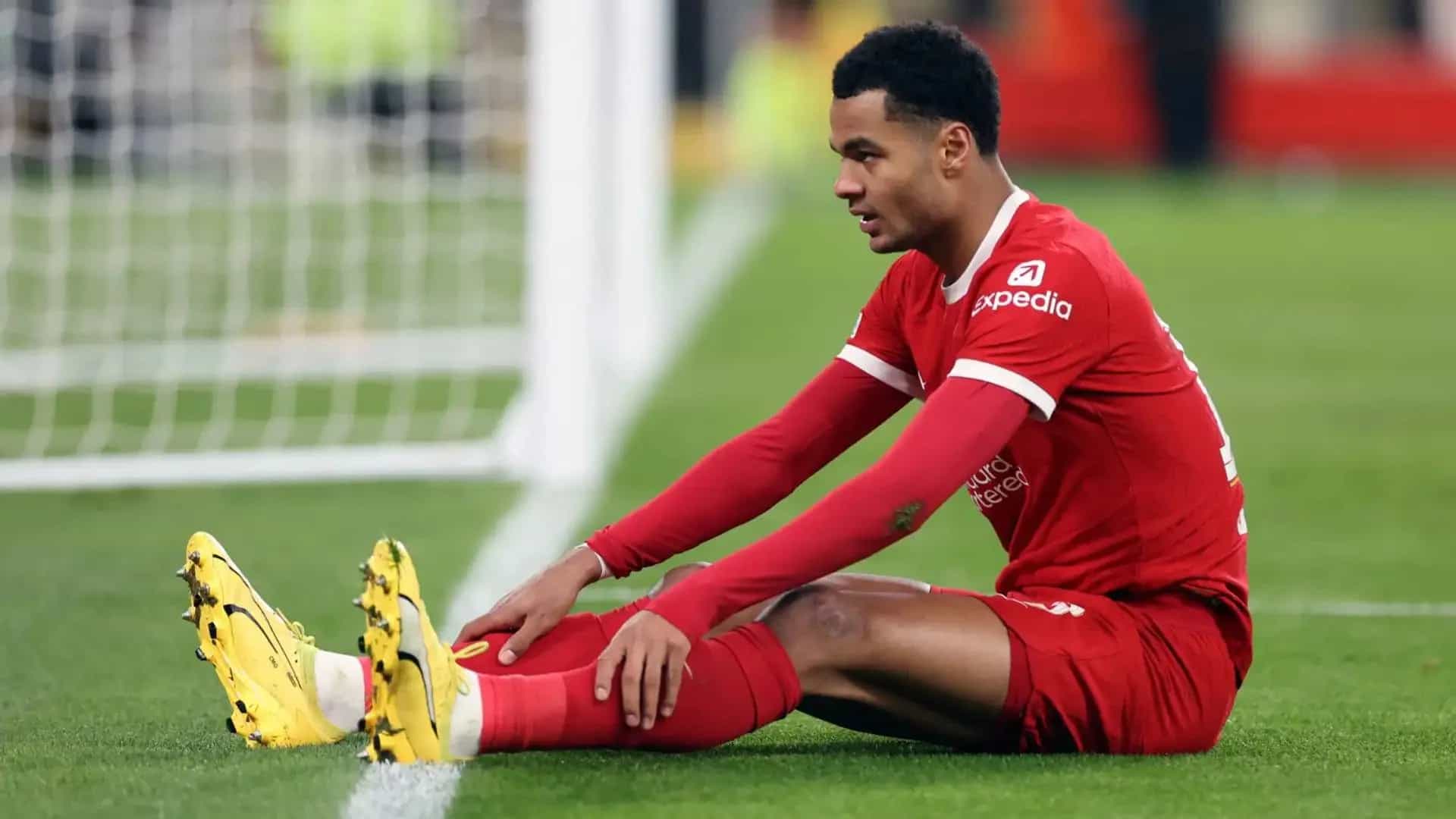Ícone do Liverpool duro com Gakpo: «Mostrou mais num curto período de tempo»